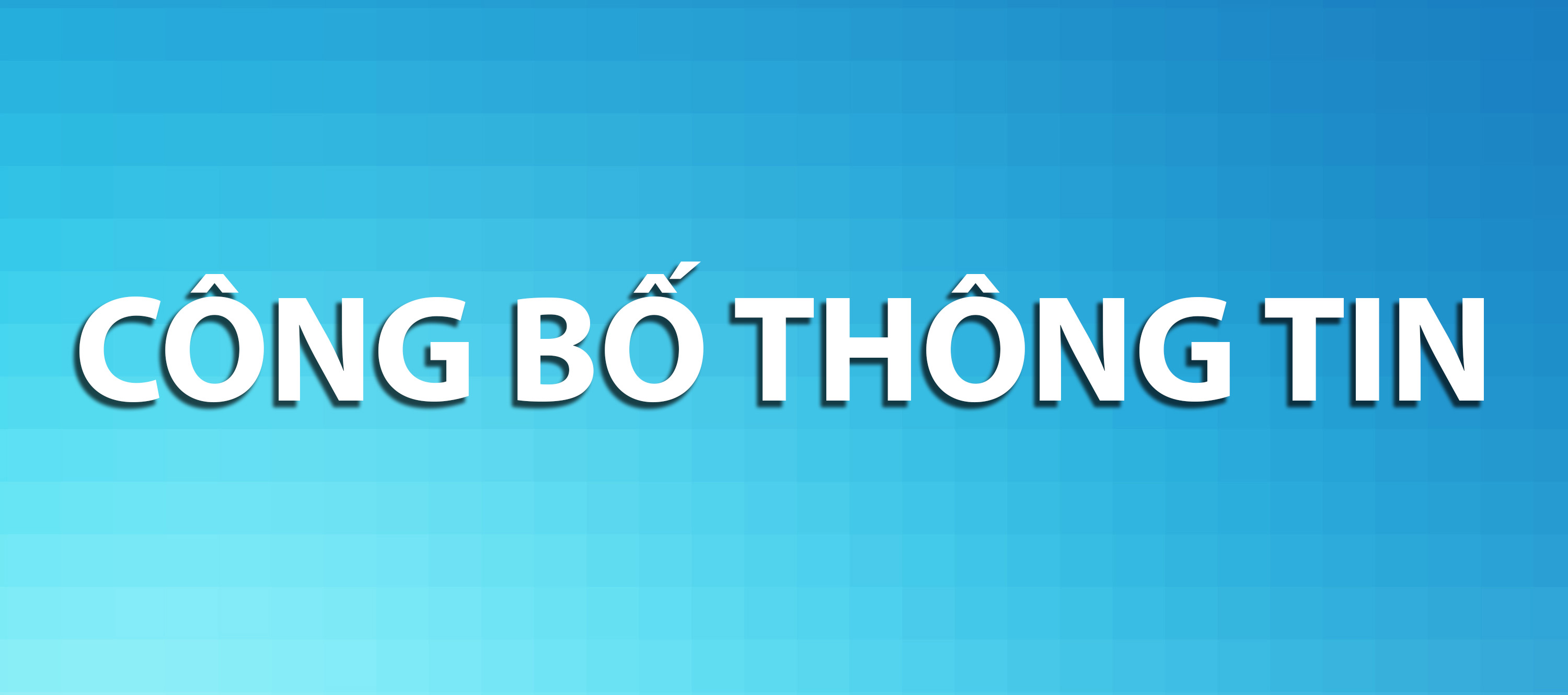 BCTC hợp nhất 2023